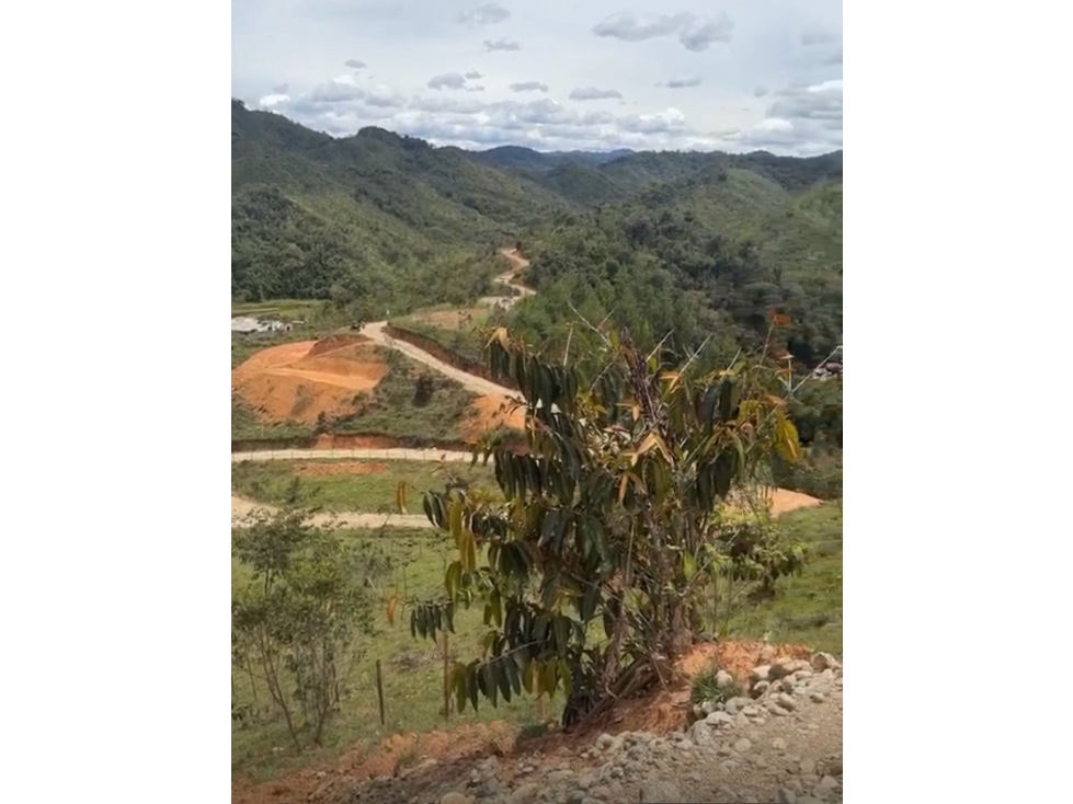 Venta de LOTEs en PARCELACIÓN en GUATAPE- Quedan pocos — foto 4