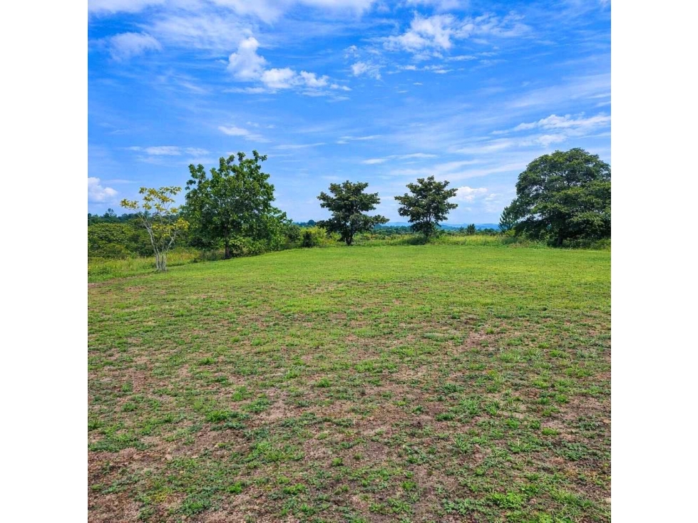 VENTA DE 9 LOTES EN RIO HATO A POCOS MIN. DE LA INTERAMERICANA 3000m2 - 1