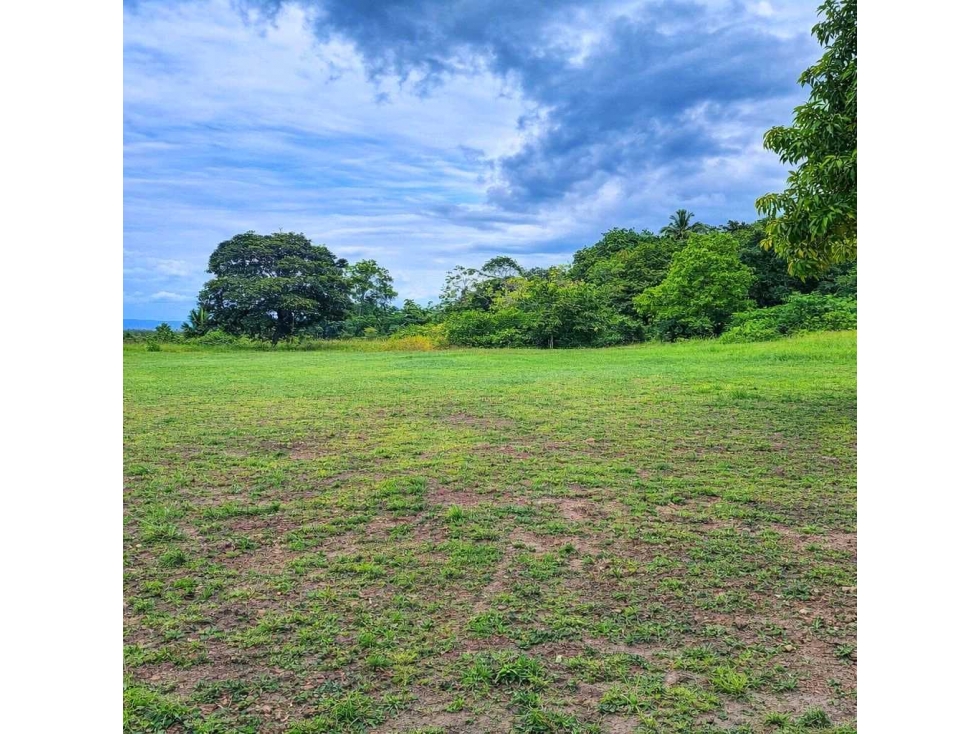 VENTA DE 9 LOTES EN RIO HATO A POCOS MIN. DE LA INTERAMERICANA 3000m2 - 3