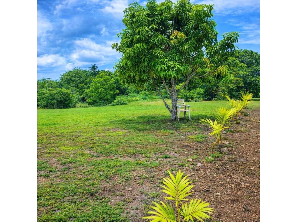 VENTA DE 9 LOTES EN RIO HATO A POCOS MIN. DE LA INTERAMERICANA 3000m2 - 4