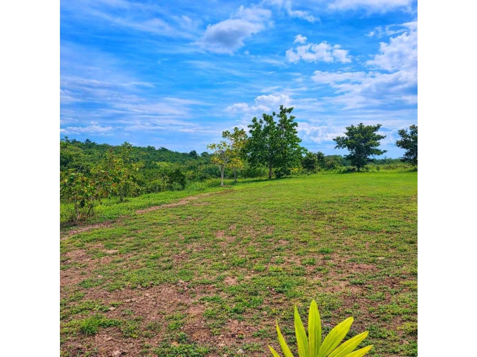 VENTA DE 9 LOTES EN RIO HATO A POCOS MIN. DE LA INTERAMERICANA 3000m2 - 6