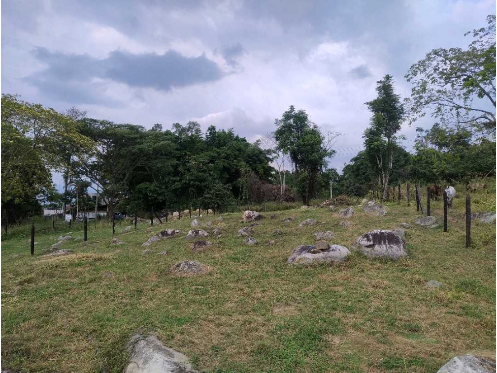 Venta de lotes independientes/Mejor sector de La Mesa Cundi - 2