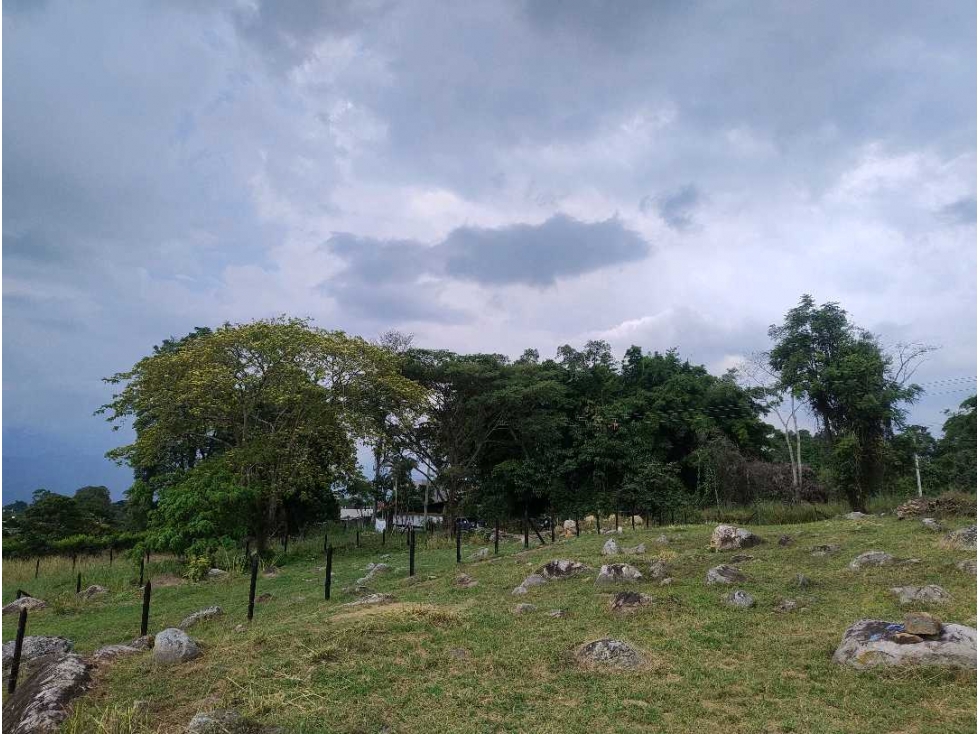 Venta de lotes independientes/Mejor sector de La Mesa Cundi - 4