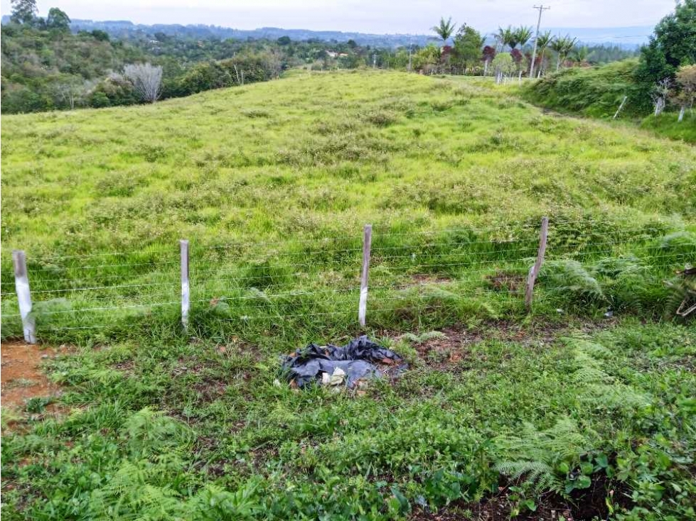 VENTA PARCELAS NORTE POPAYAN VEREDA FLORENCIA TOTORO CAUCA - 1
