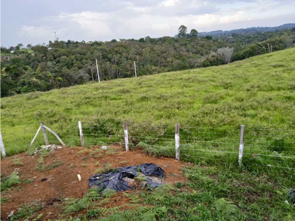 VENTA PARCELAS NORTE POPAYAN VEREDA FLORENCIA TOTORO CAUCA - 2