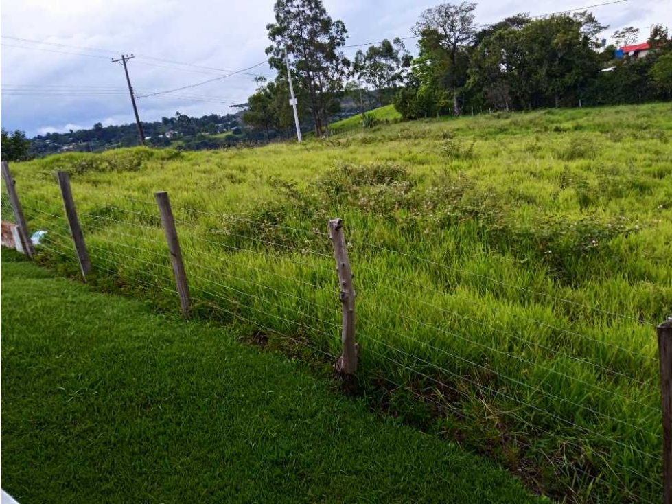 VENTA PARCELAS NORTE POPAYAN VEREDA FLORENCIA TOTORO CAUCA - 3