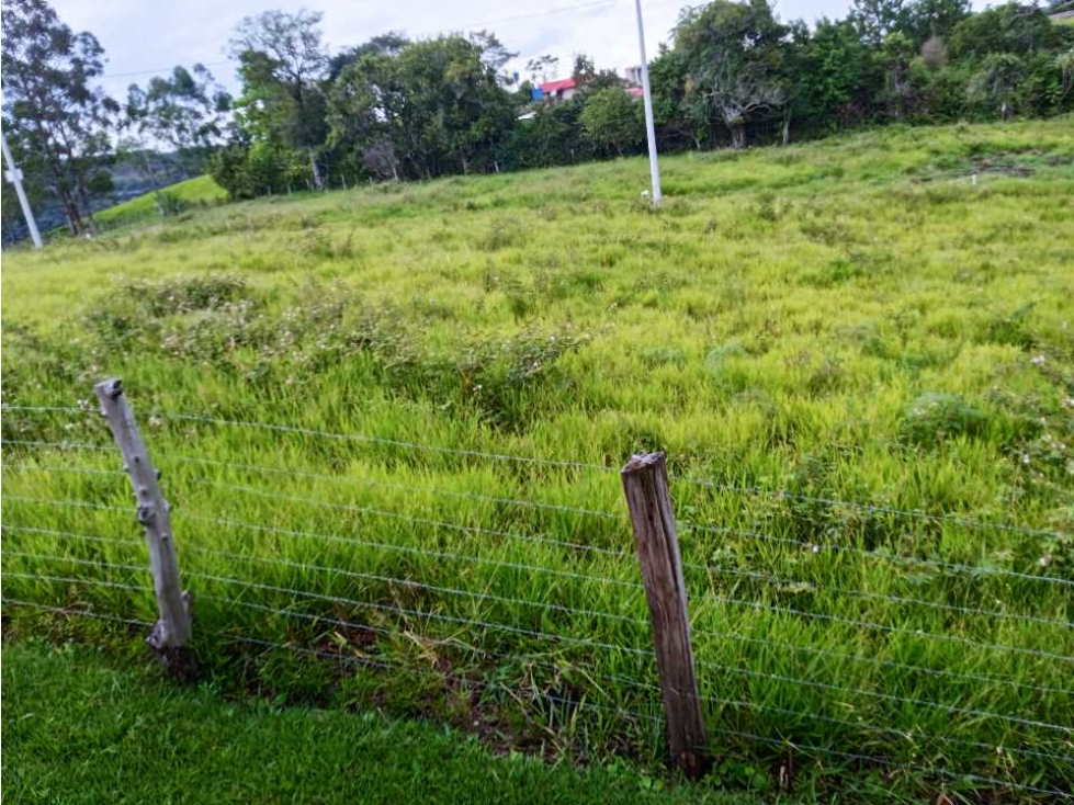 VENTA PARCELAS NORTE POPAYAN VEREDA FLORENCIA TOTORO CAUCA - 4