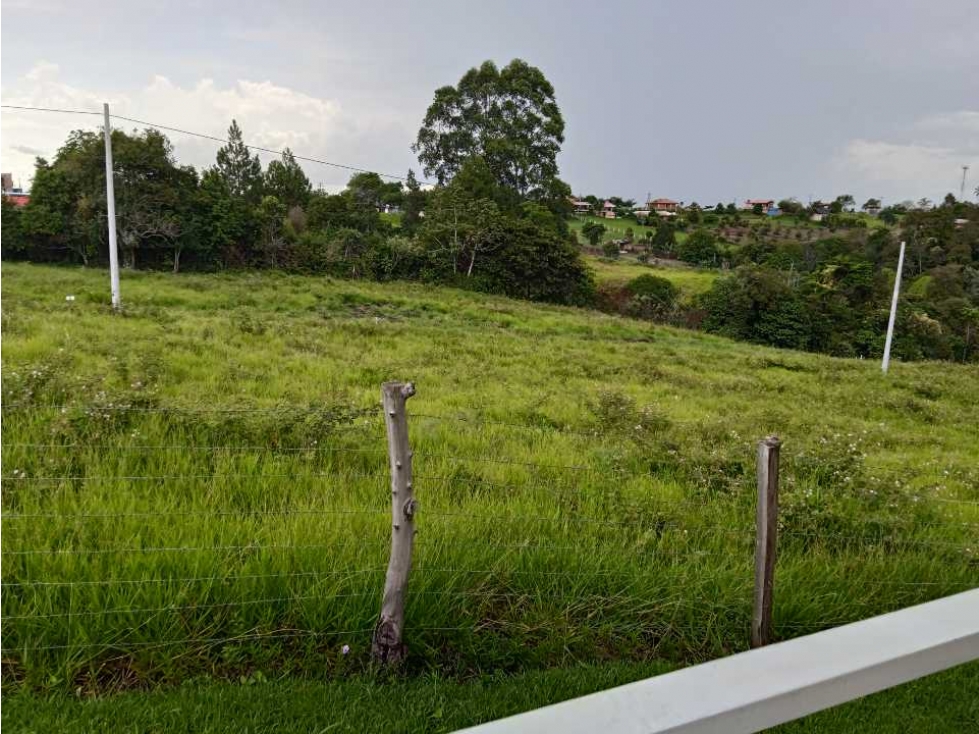 VENTA PARCELAS NORTE POPAYAN VEREDA FLORENCIA TOTORO CAUCA - 5
