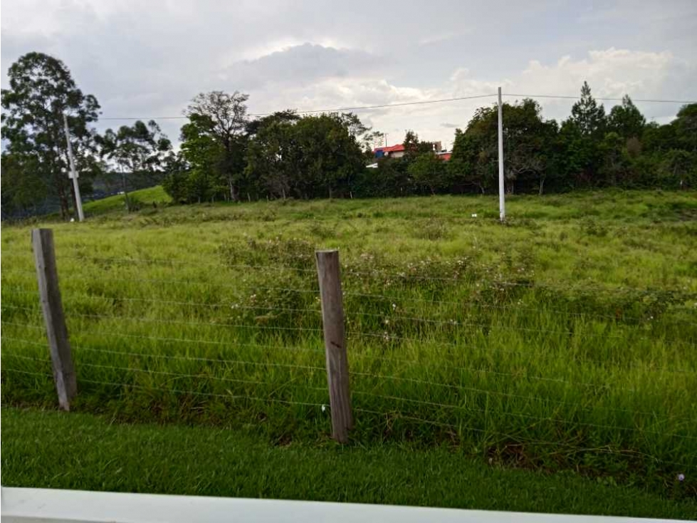 VENTA PARCELAS NORTE POPAYAN VEREDA FLORENCIA TOTORO CAUCA - 6