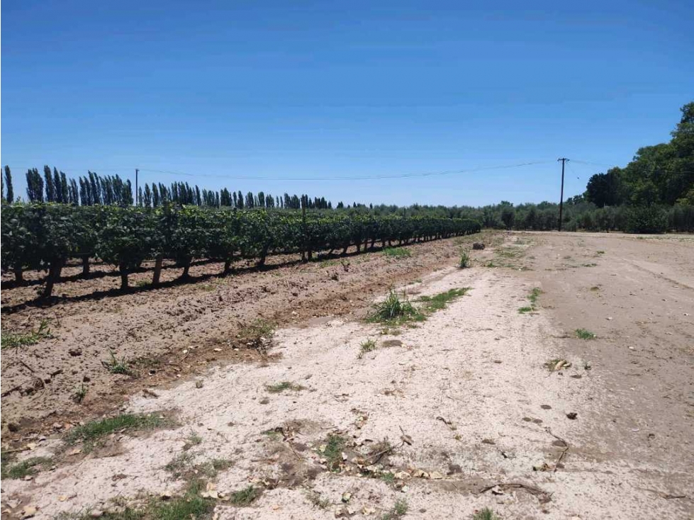 VENTA DE LOTES SOBRE CALLE MARTINEZ- JUNIN, MZA. - 2