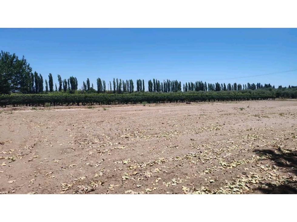 VENTA DE LOTES SOBRE CALLE MARTINEZ- JUNIN, MZA. - 3