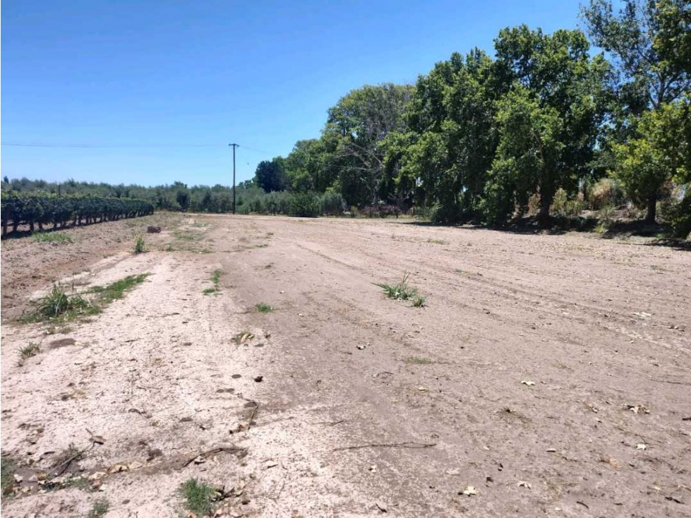 VENTA DE LOTES SOBRE CALLE MARTINEZ- JUNIN, MZA. - 4