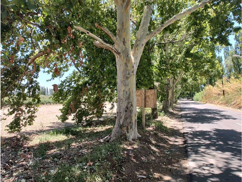 VENTA DE LOTES SOBRE CALLE MARTINEZ- JUNIN, MZA. - 5