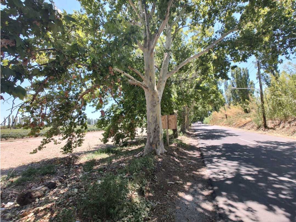 VENTA DE LOTES SOBRE CALLE MARTINEZ- JUNIN, MZA. - 6