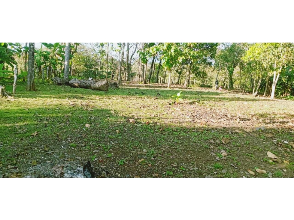 VENTA DE PROPIEDAD MAS TERRENO 3,820 METROS EN SAN LORENZO - 2