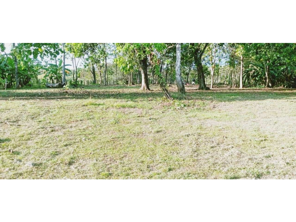 VENTA DE PROPIEDAD MAS TERRENO 3,820 METROS EN SAN LORENZO - 3
