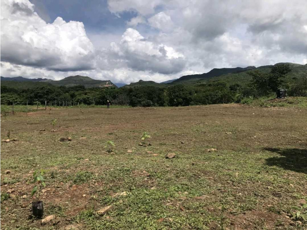 VENTA DE TERRENO - 1