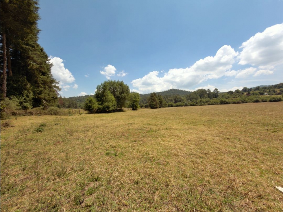 VENTA DE TERRENO AMPLIO Y PLANO I CAMINO AL MANZANO — foto 6