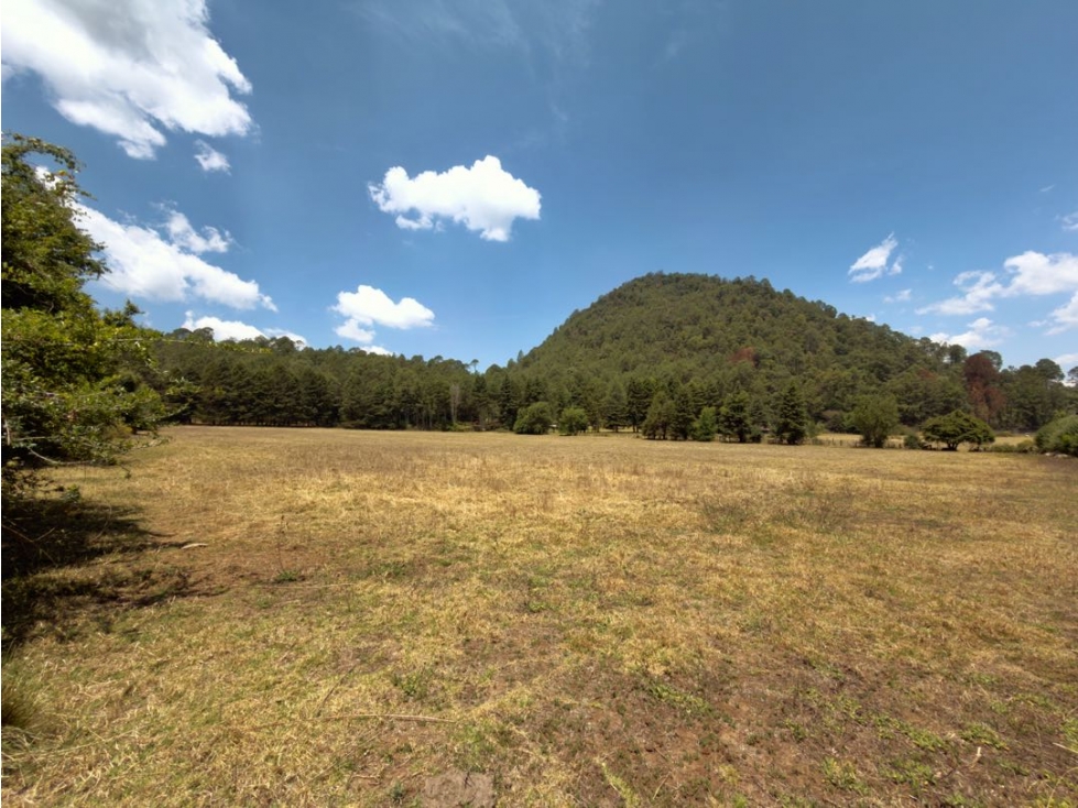 VENTA DE TERRENO AMPLIO Y PLANO I CAMINO AL MANZANO