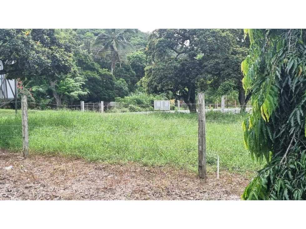 VENTA DE TERRENO BUENA UBICACIÓN SANTA MARÍA VIA LA PINTADA PENONOMÉ - 1