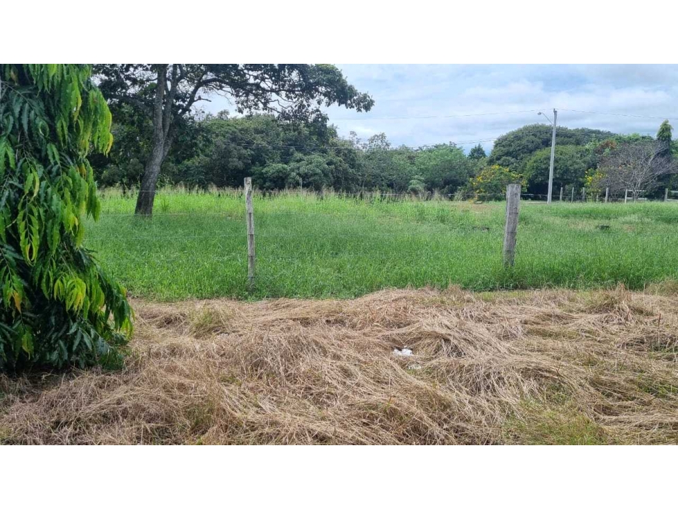 VENTA DE TERRENO BUENA UBICACIÓN SANTA MARÍA VIA LA PINTADA PENONOMÉ - 2