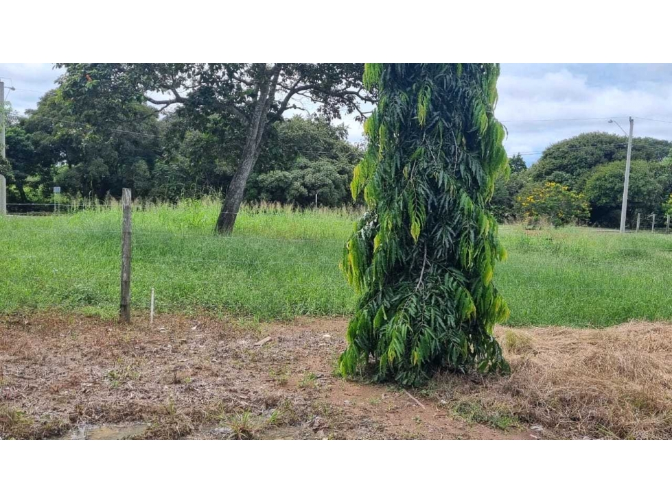 VENTA DE TERRENO BUENA UBICACIÓN SANTA MARÍA VIA LA PINTADA PENONOMÉ - 3