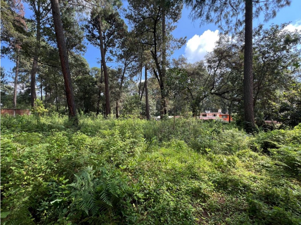 VENTA DE TERRENO | CERRO GORDO | VALLE DE BRAVO