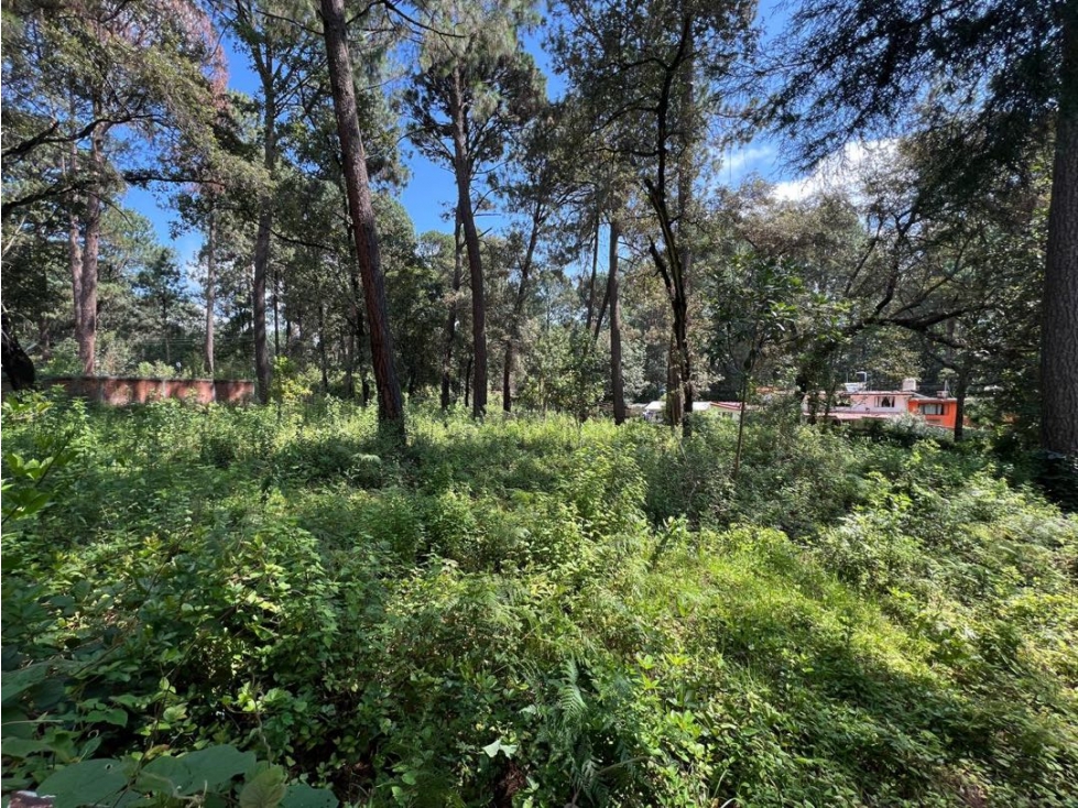 VENTA DE TERRENO | CERRO GORDO | VALLE DE BRAVO — foto 3