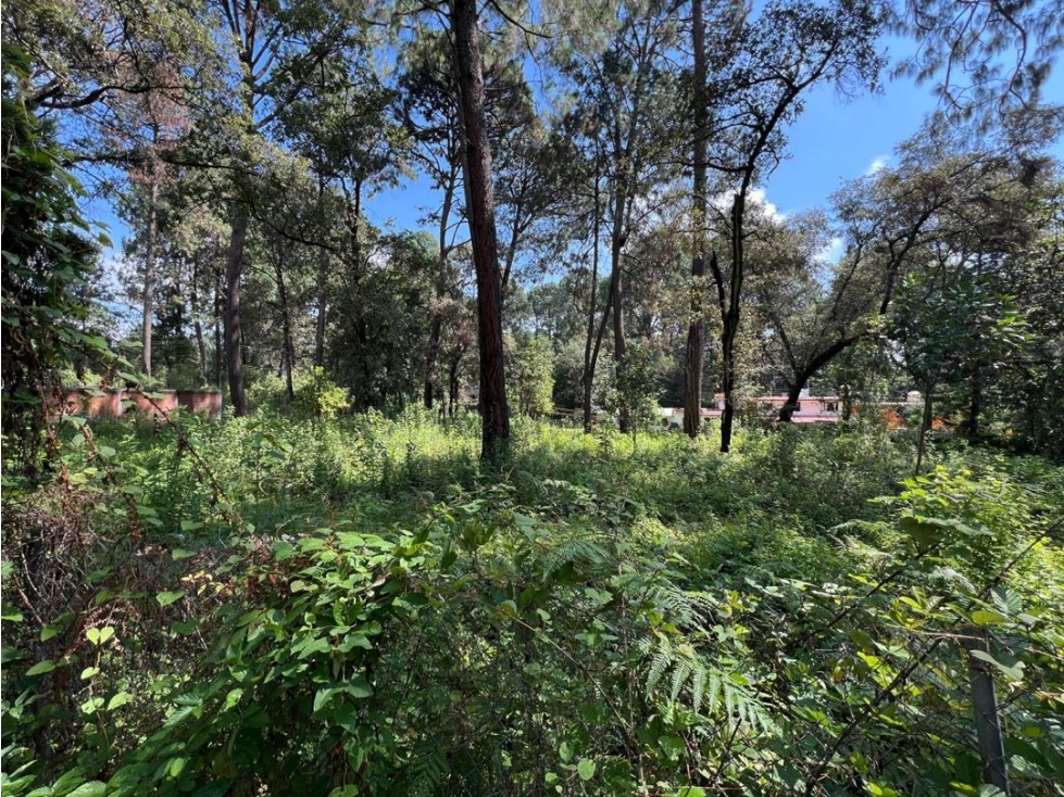VENTA DE TERRENO | CERRO GORDO | VALLE DE BRAVO — foto 4