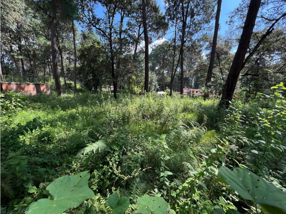 VENTA DE TERRENO | CERRO GORDO | VALLE DE BRAVO — foto 5