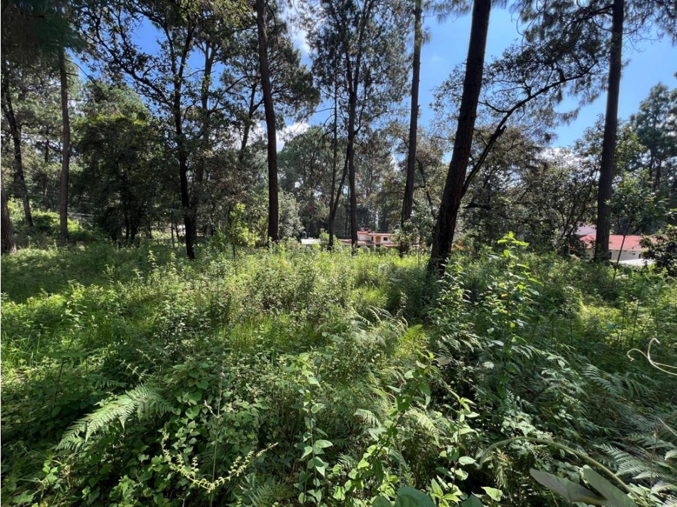 VENTA DE TERRENO | CERRO GORDO | VALLE DE BRAVO — foto 6