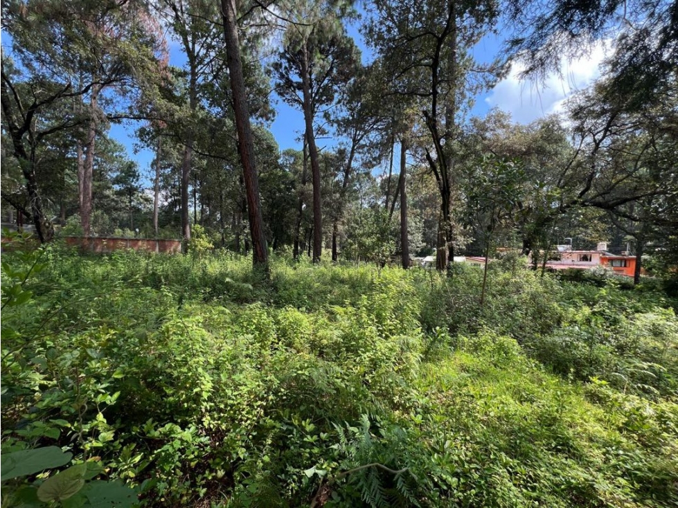 VENTA DE TERRENO | CERRO GORDO | VALLE DE BRAVO — foto 2
