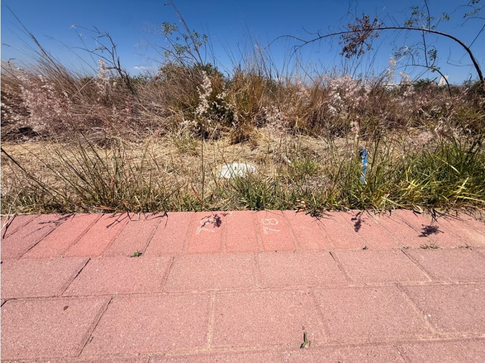 VENTA DE TERRENO CIUDAD MADERAS SUR II - 6