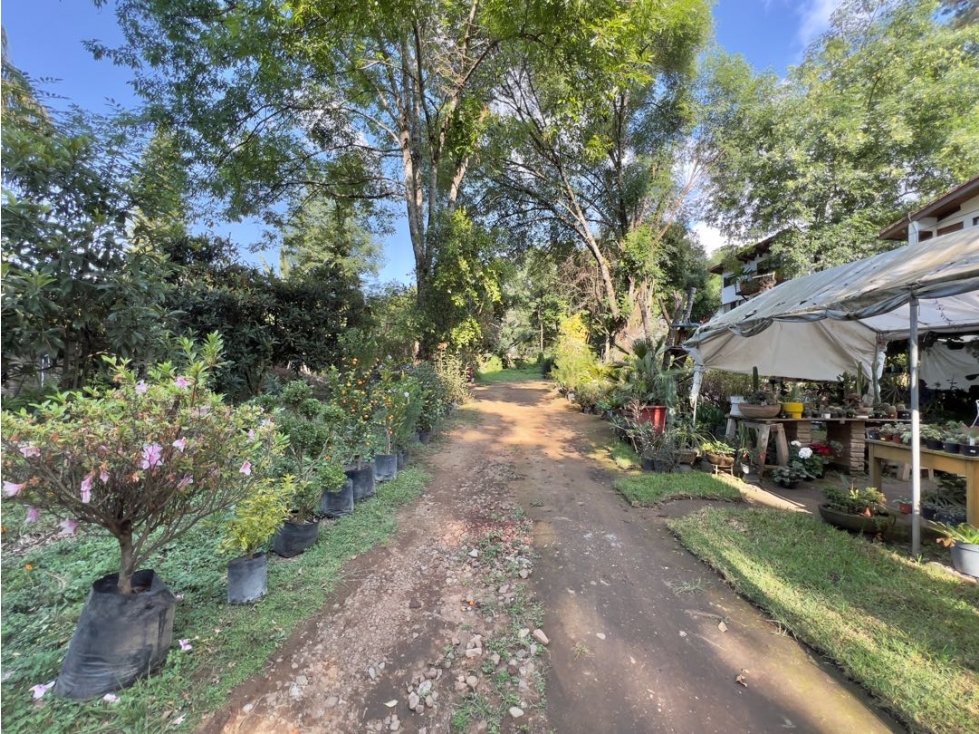 VENTA DE TERRENO COMERCIAL CON TOPOGRAFIA PLANA | AVANDARO — foto 6