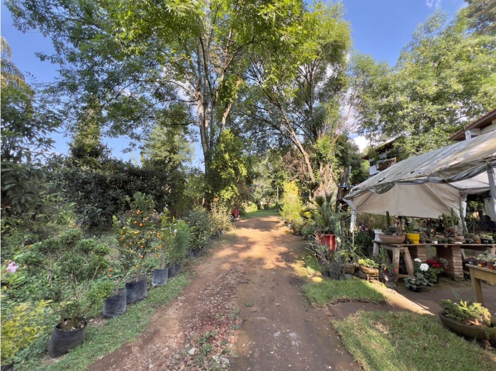 VENTA DE TERRENO COMERCIAL CON TOPOGRAFIA PLANA | AVANDARO — foto 3