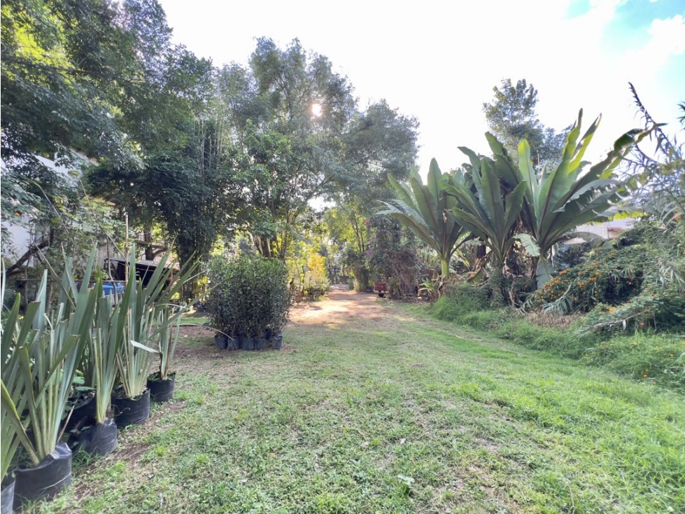 VENTA DE TERRENO COMERCIAL CON TOPOGRAFIA PLANA | AVANDARO — foto 4