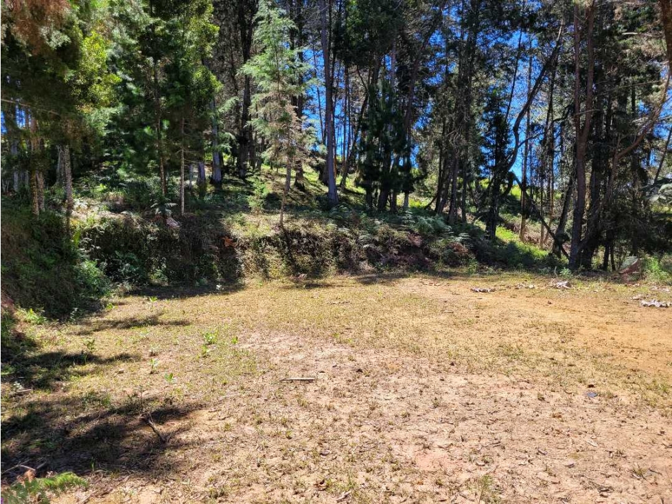 Venta de Terreno con 2 matriculas Ubicado en el Portento Retiro — foto 2