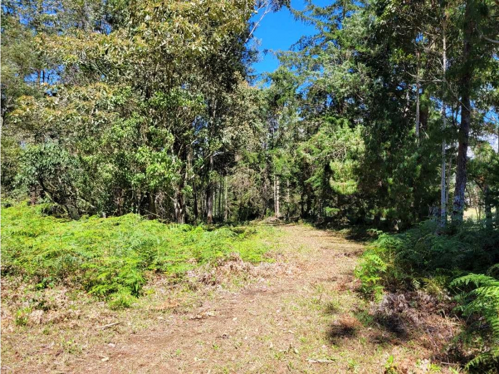 Venta de Terreno con 2 matriculas Ubicado en el Portento Retiro — foto 4