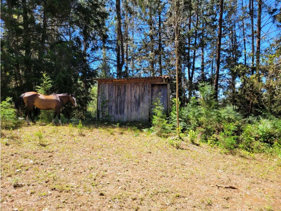 Venta de Terreno con 2 matriculas Ubicado en el Portento Retiro — foto 5