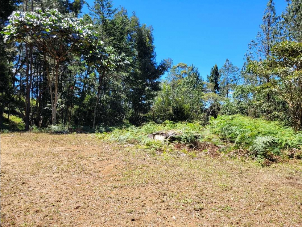 Venta de Terreno con 2 matriculas Ubicado en el Portento Retiro — foto 6