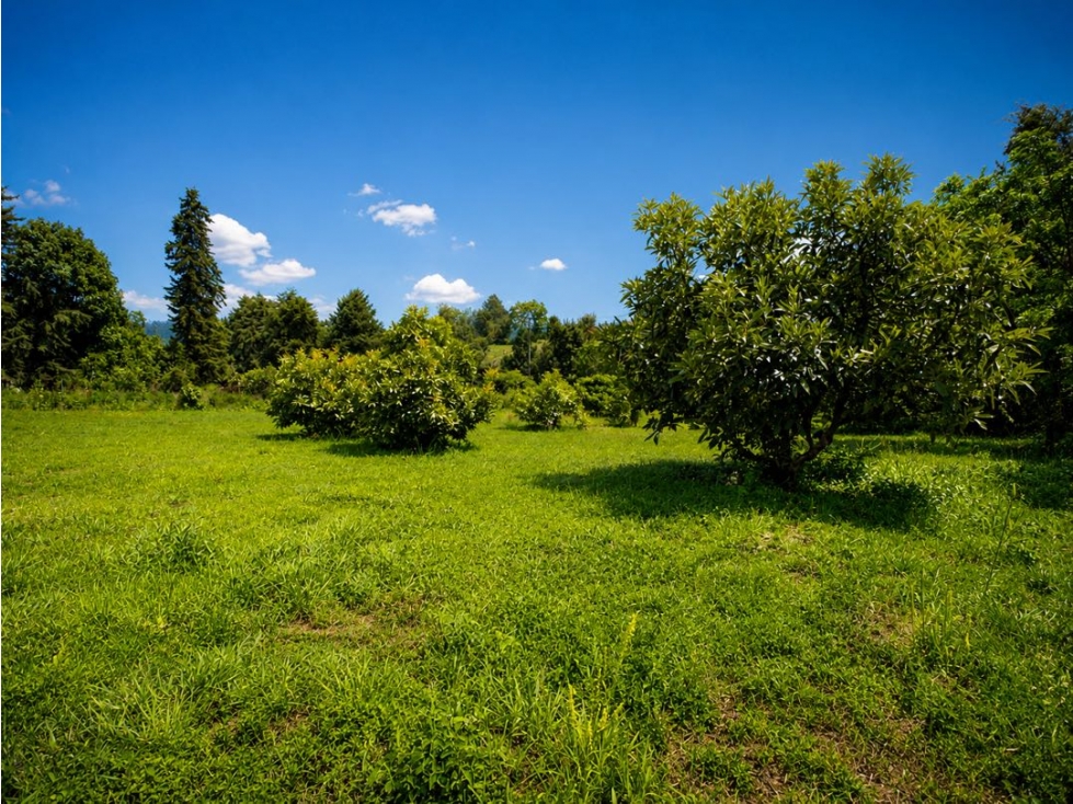 VENTA DE TERRENO | SAN JUAN ATEZCAPAN | VALLE DE BRAVO — foto 2