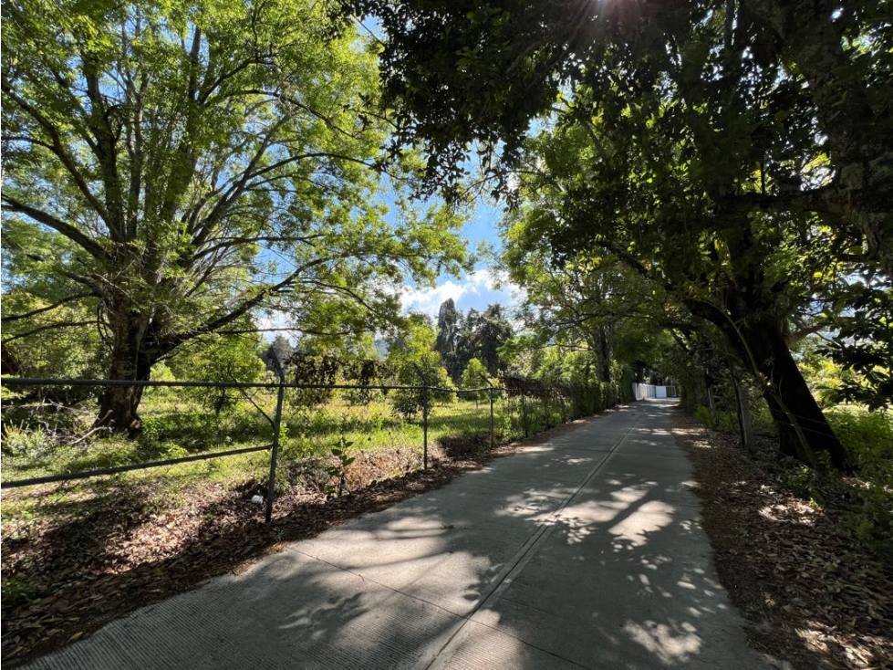 VENTA DE TERRENO CON HUERTA DE AGUACATES | SAN JUAN ATEZCAPAN — foto 2