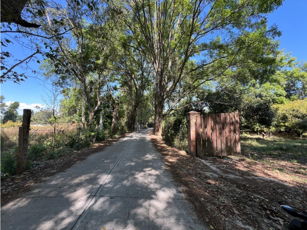 VENTA DE TERRENO CON HUERTA DE AGUACATES | SAN JUAN ATEZCAPAN — foto 3