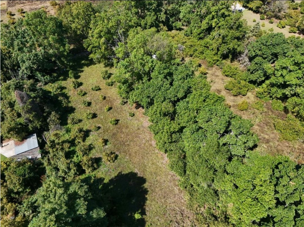 VENTA DE TERRENO CON HUERTA DE AGUACATES | SAN JUAN ATEZCAPAN — foto 4