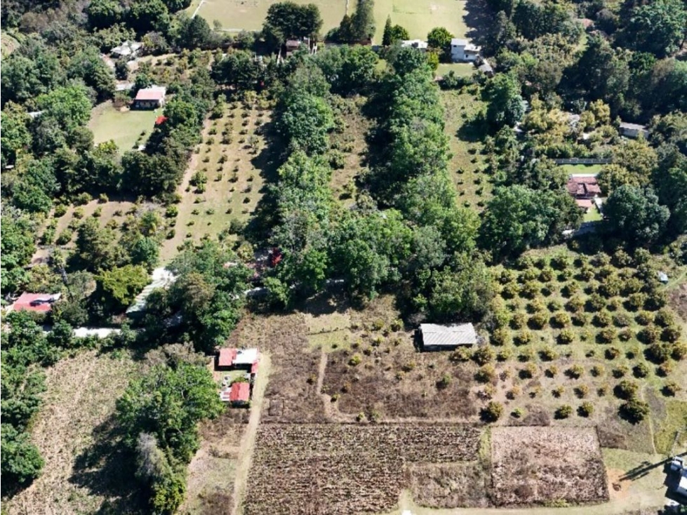VENTA DE TERRENO CON HUERTA DE AGUACATES | SAN JUAN ATEZCAPAN — foto 5