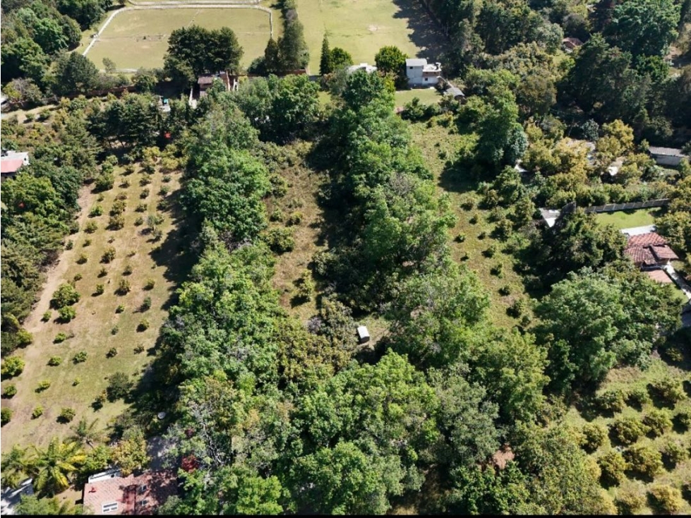 VENTA DE TERRENO CON HUERTA DE AGUACATES | SAN JUAN ATEZCAPAN — foto 6