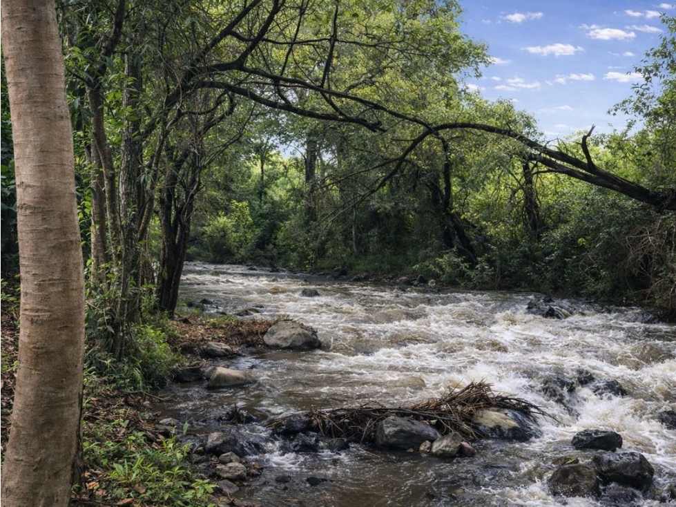 VENTA DE TERRENO CON RÍO | TILOXTOC VALLE DE BRAVO