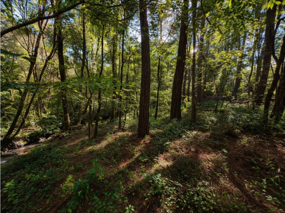 VENTA DE TERRENO CON RÍO Y BOSQUE | CERRO GORDO — foto 3