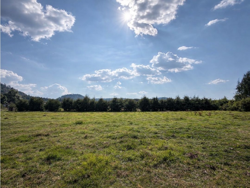 VENTA DE TERRENO CON VISTAS | CERRO GORDO - 5