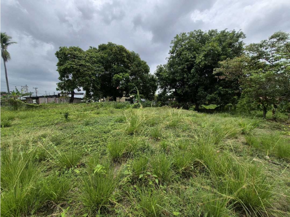 Venta de terreno de 1,000 metros en Juan Diaz - 2